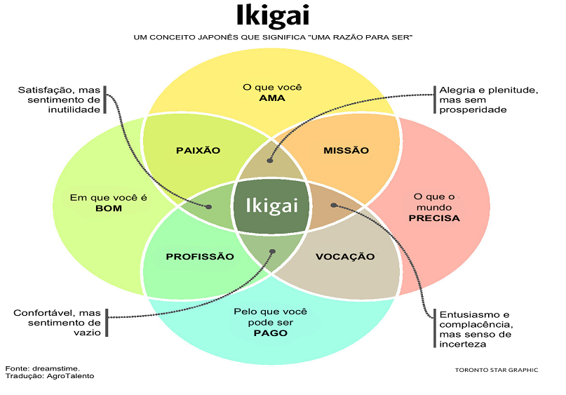 Ikigai - descubra o seu propósito 
